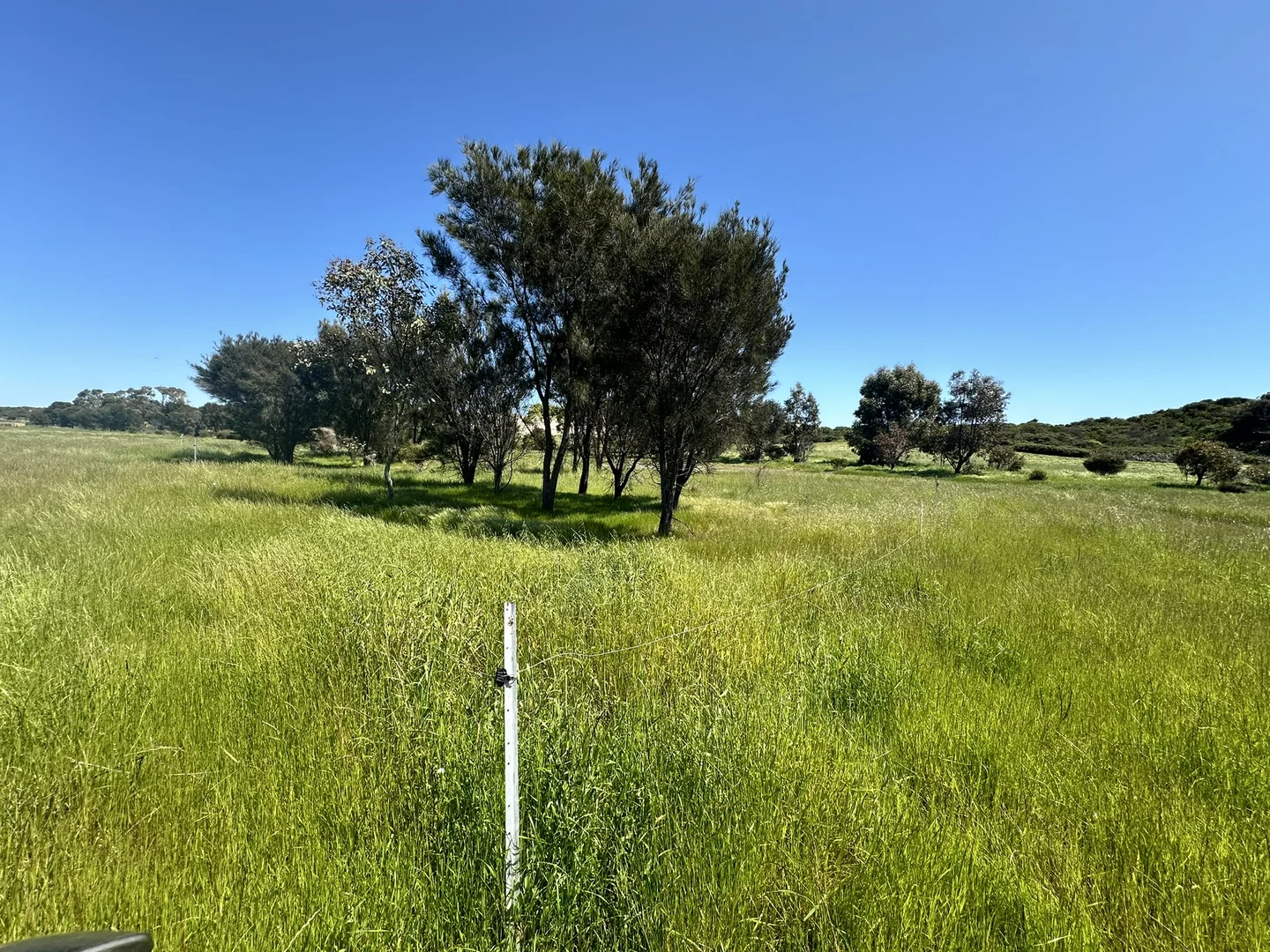 Image 12