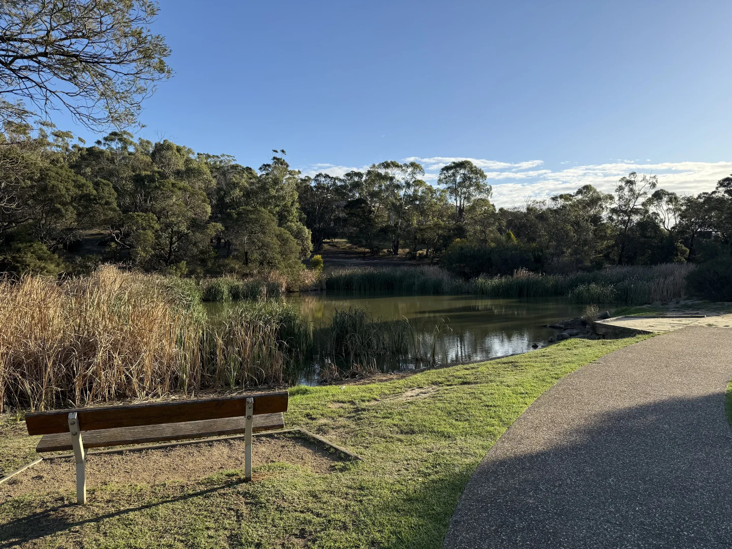 Image 45