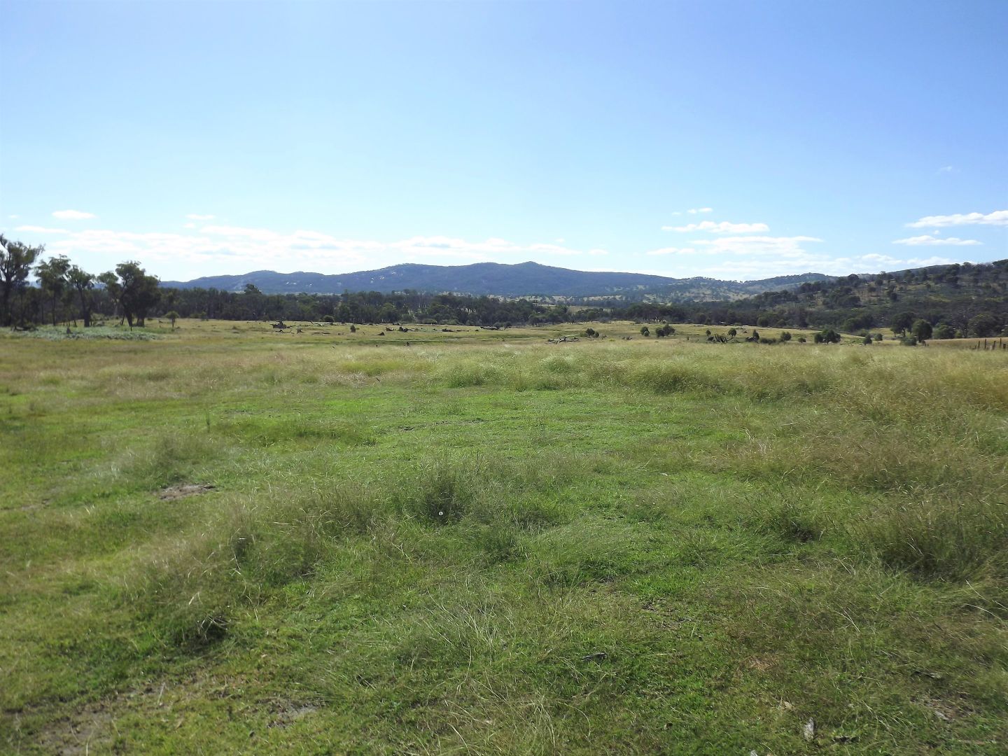 124 Dellwood Road, Deepwater Property History & Address Research Domain