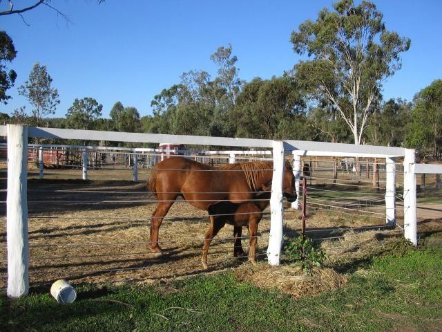 99 Rifle Range Road, Rifle Range | Property History & Address Research ...