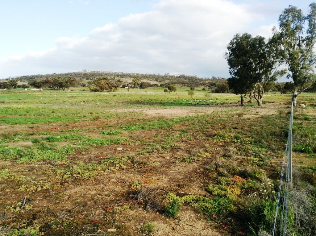 Cunderdin WA 6407, Image 2