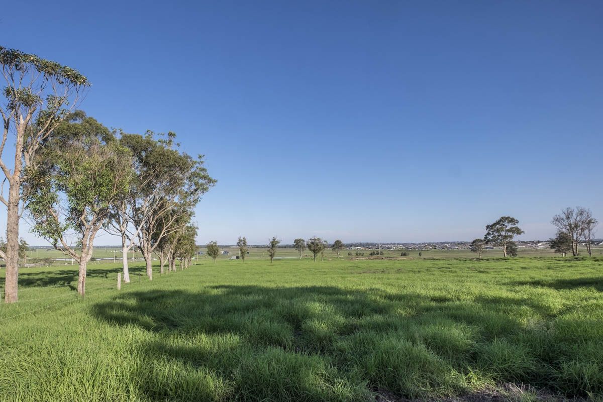 Lot 1238 Mayo Crescent, Chisholm NSW 2322, Image 1