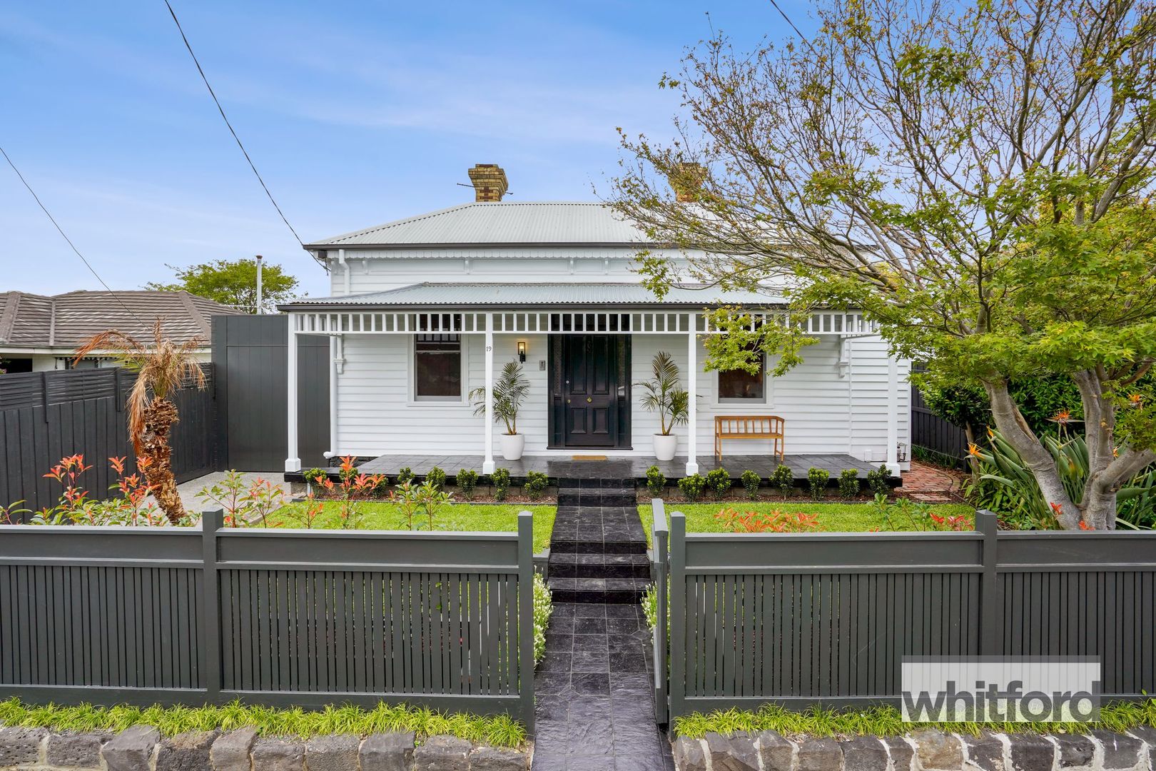 19 Roebuck Street, Newtown VIC 3220