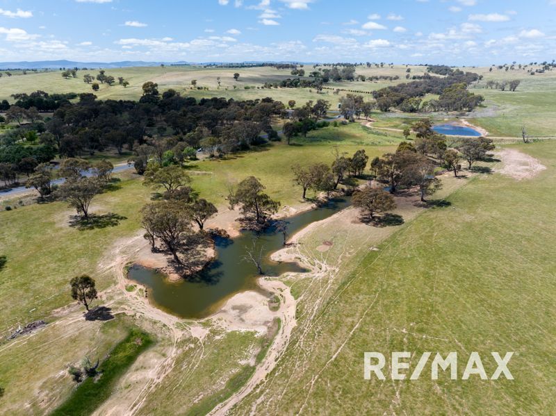 5919 Gundagai Road, Junee NSW 2663, Image 1