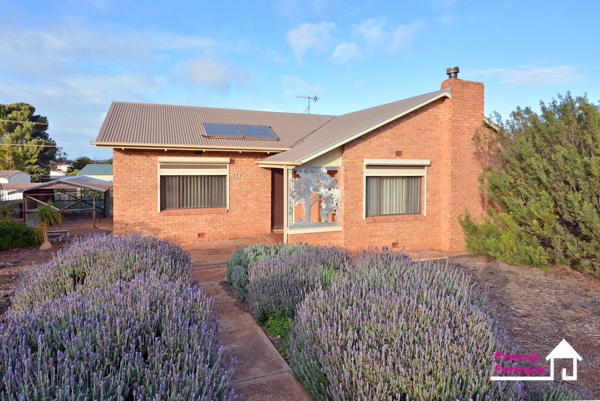 55 Gowrie Avenue, Whyalla Playford SA 5600, Image 0