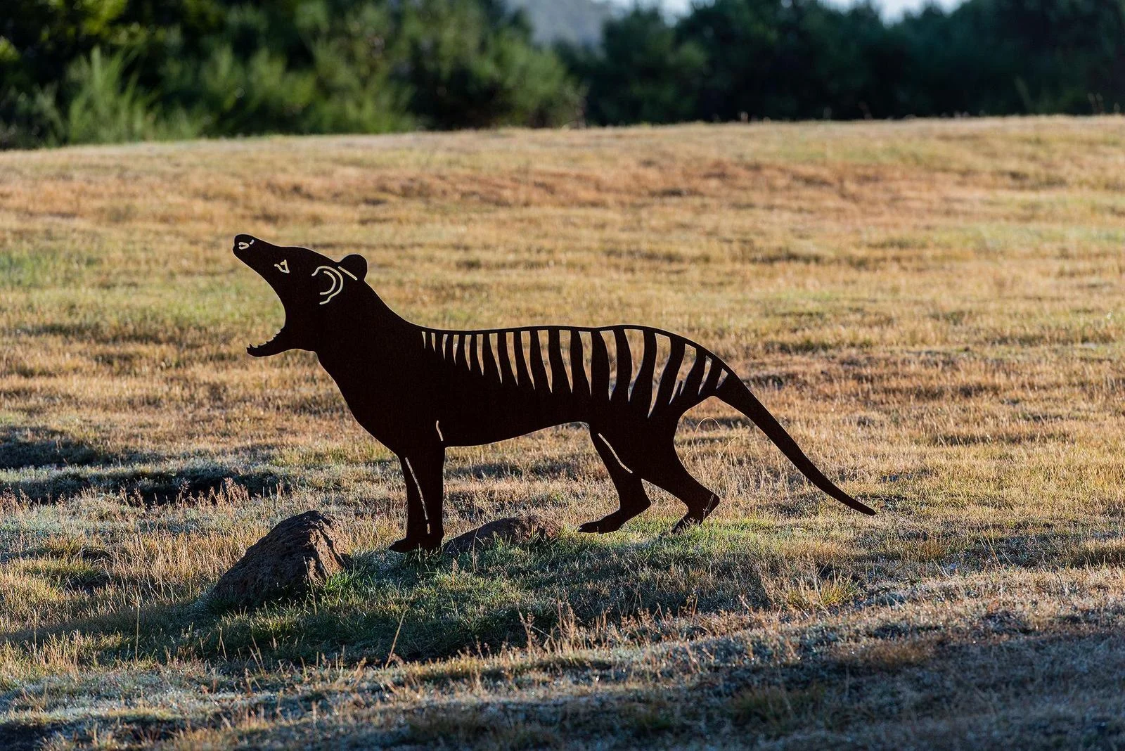 Additional image 19 of 17 Smith Street, Waratah TAS 7321