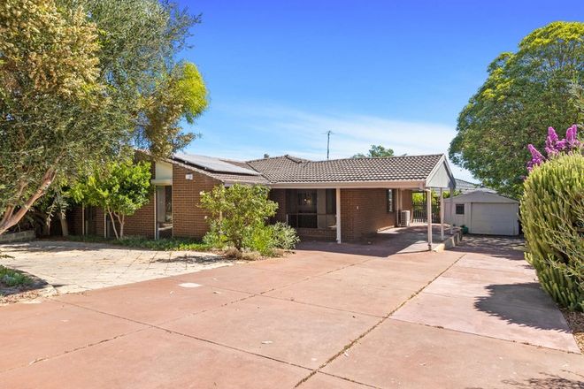 Picture of 5 AUMERLE WAY,, SPEARWOOD WA 6163