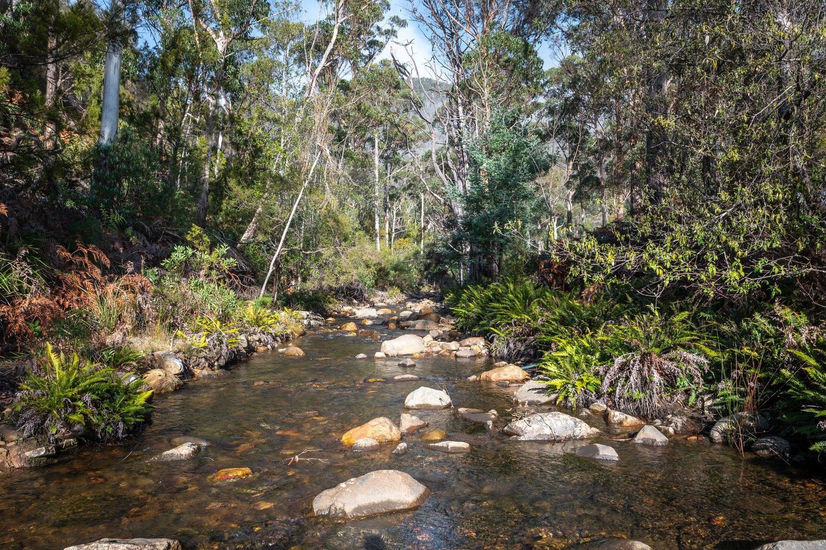 101 Stinging Nettle Gully Road, Molesworth TAS 7140, Image 2