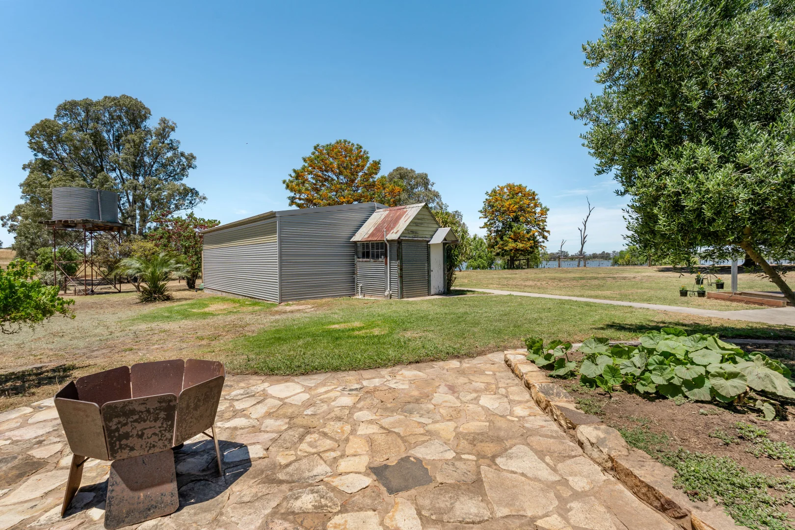Image 6
