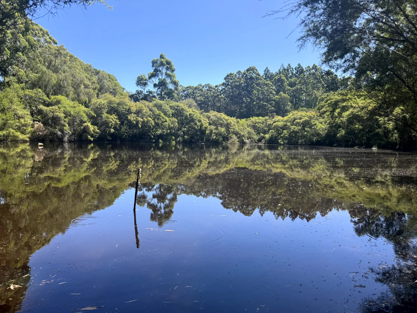 Additional image 9 of 75 Hawke Road (Yeagarup), Pemberton WA 6260