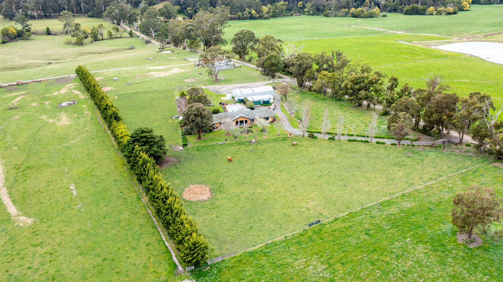 17 Macnees Road, Carrajung South VIC 3844