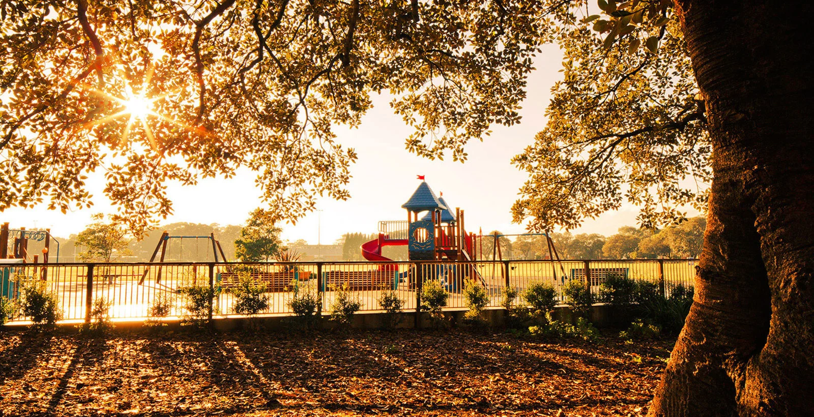 Additional image 9 of 1104/43 Wilson Street, Botany NSW 2019