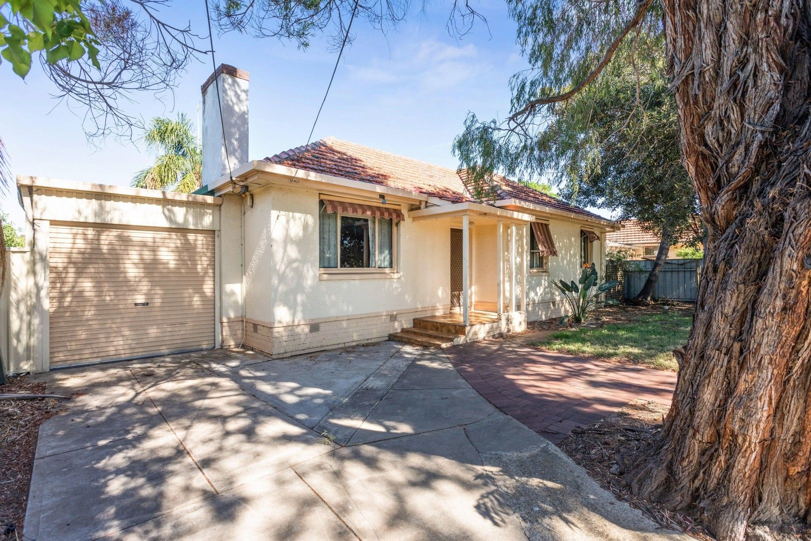 11 Dartmoor Street, Lockleys SA 5032 House For Rent Domain