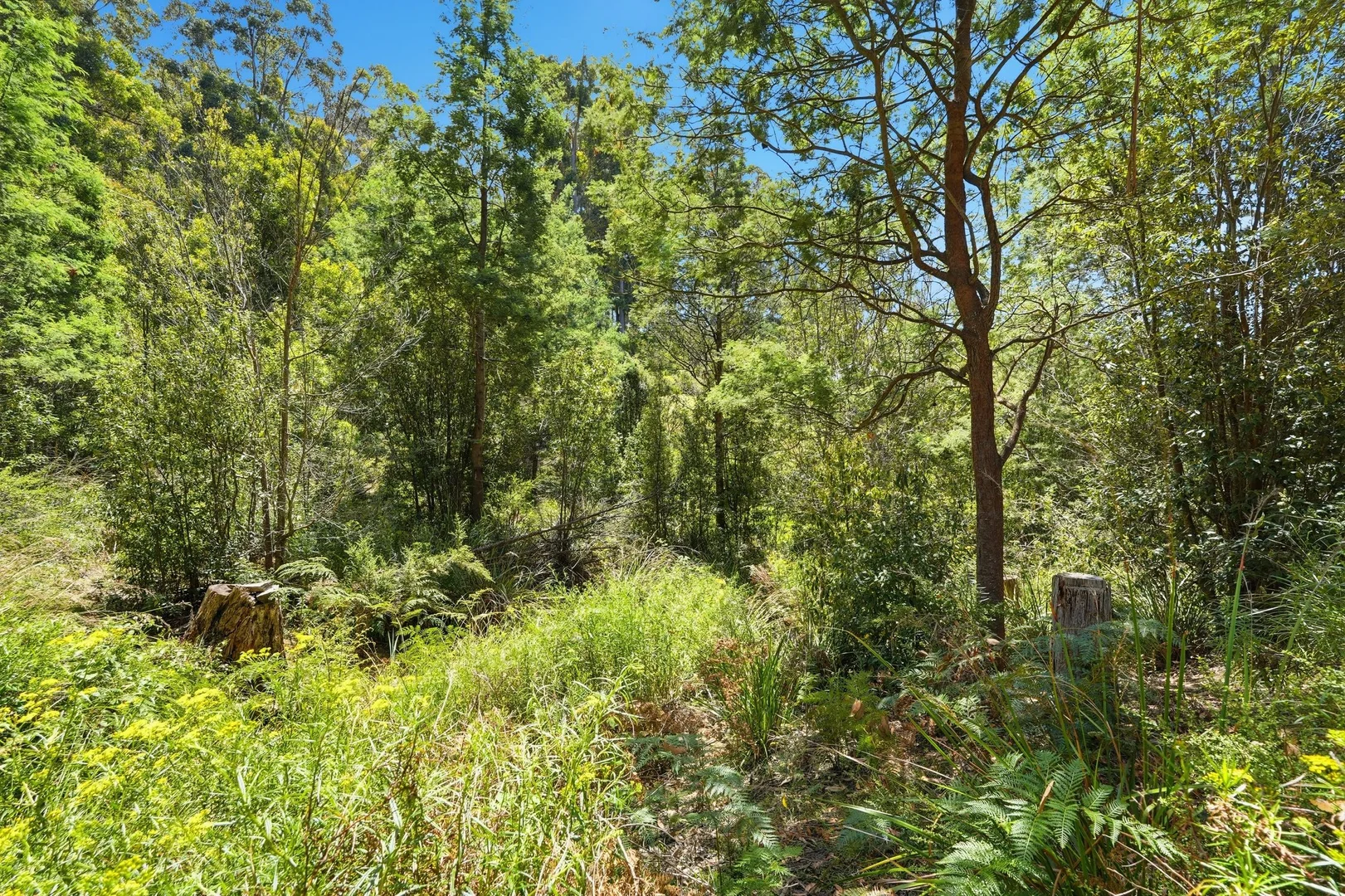 Image 10