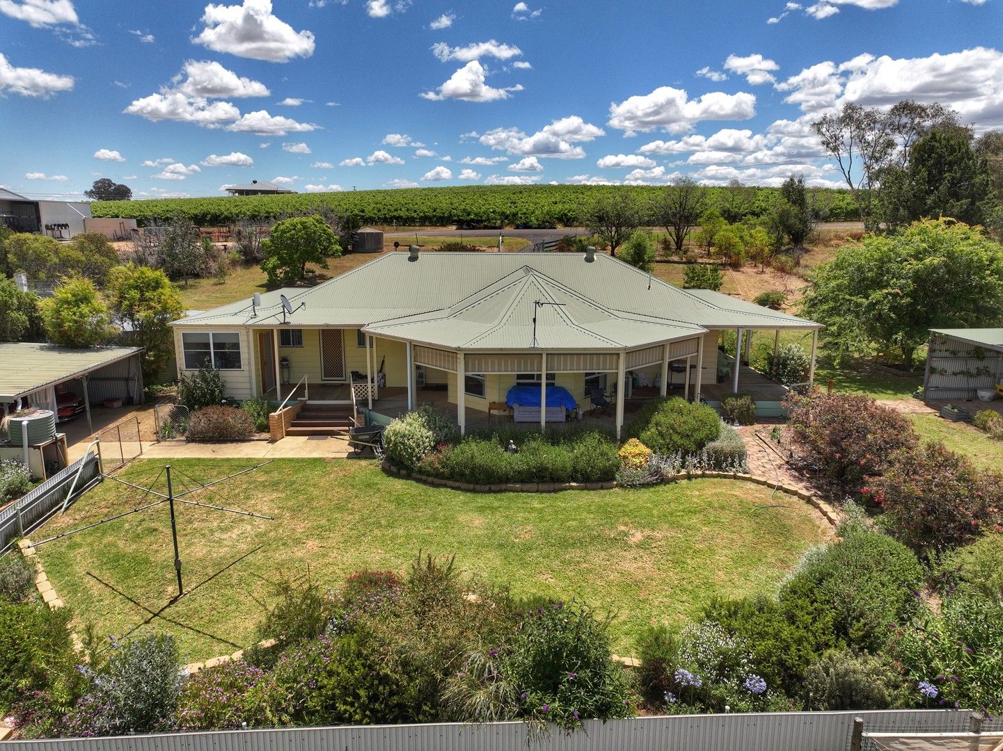 43 Chardonnay Lane, Cowra NSW 2794, Image 0