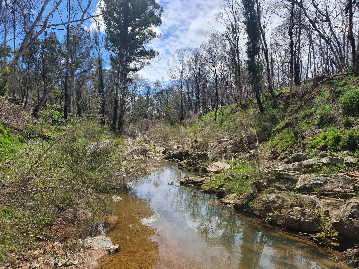 Lot 19 Ningee Nimble Creek Road, Tomboye, Braidwood NSW 2622, Image 2