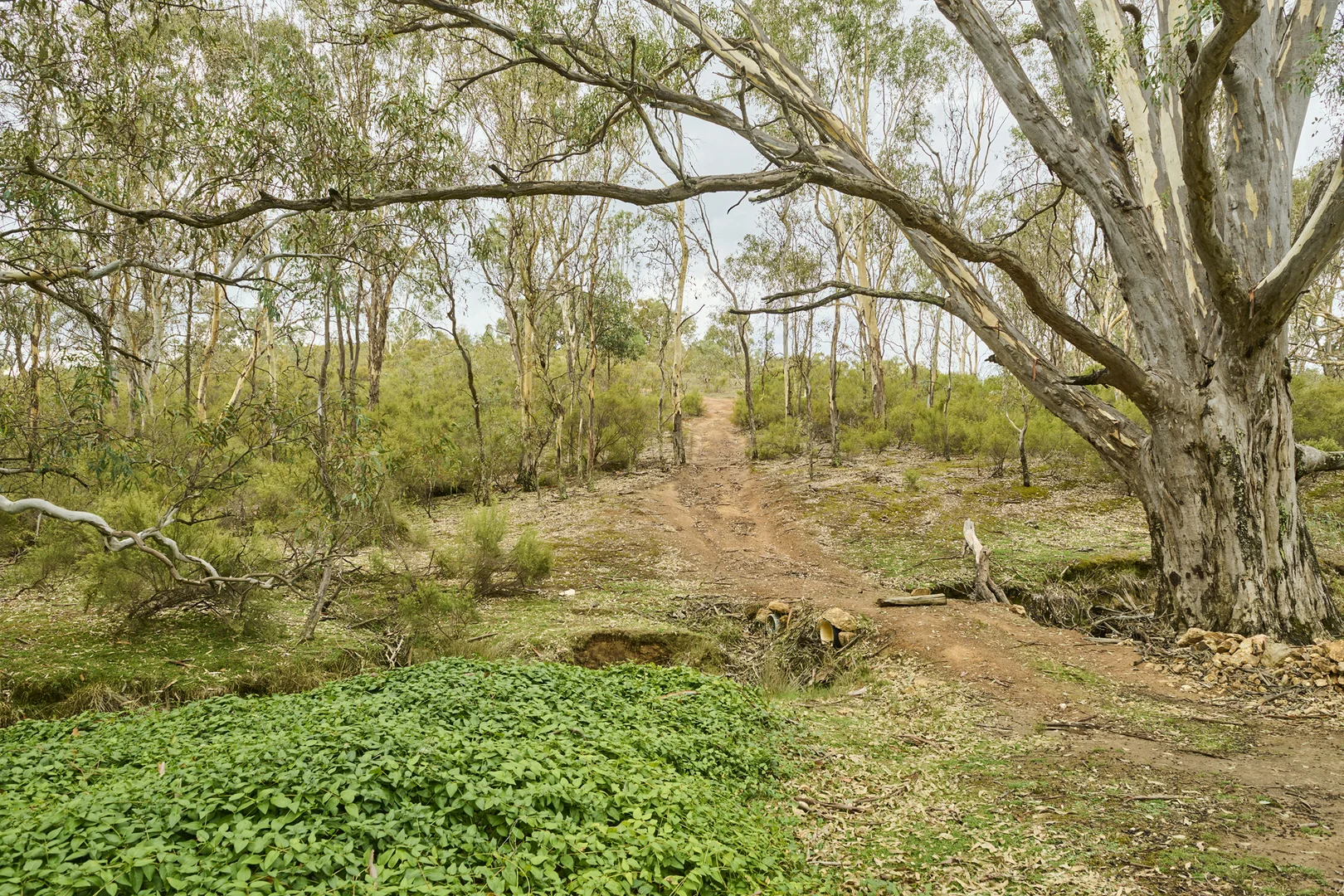 Additional image 11 of CA5 & 5J Hylands Lane, Heathcote VIC 3523