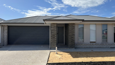 Picture of 12 Islay Place, BLAKEVIEW SA 5114