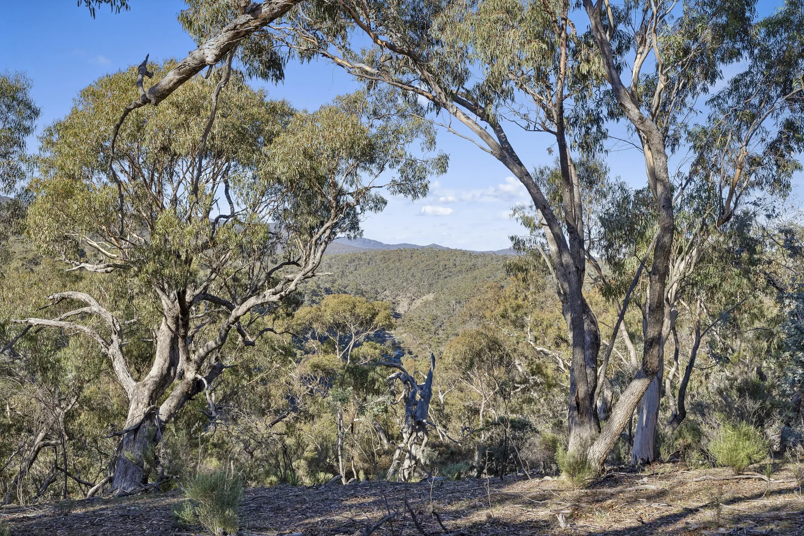 Image 21