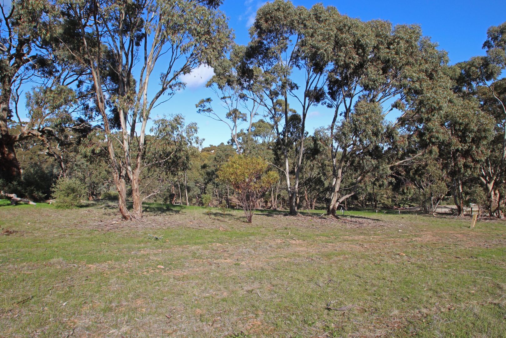 Lot 22 NORMAN DRIVE, Stanley Flat SA 5453, Image 2