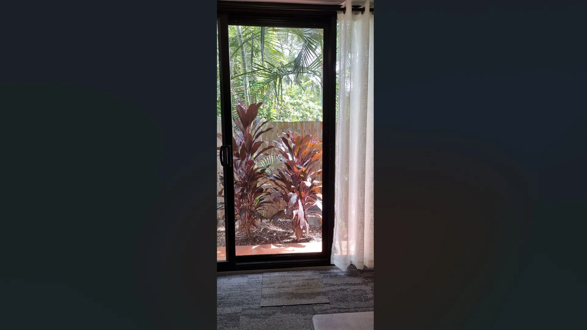 Additional image 16 of 2/20 Finney Rd, Indooroopilly QLD 4068