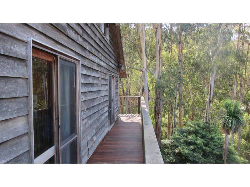 8 Richardson Boulevard, Lorne VIC 3232, Image 2