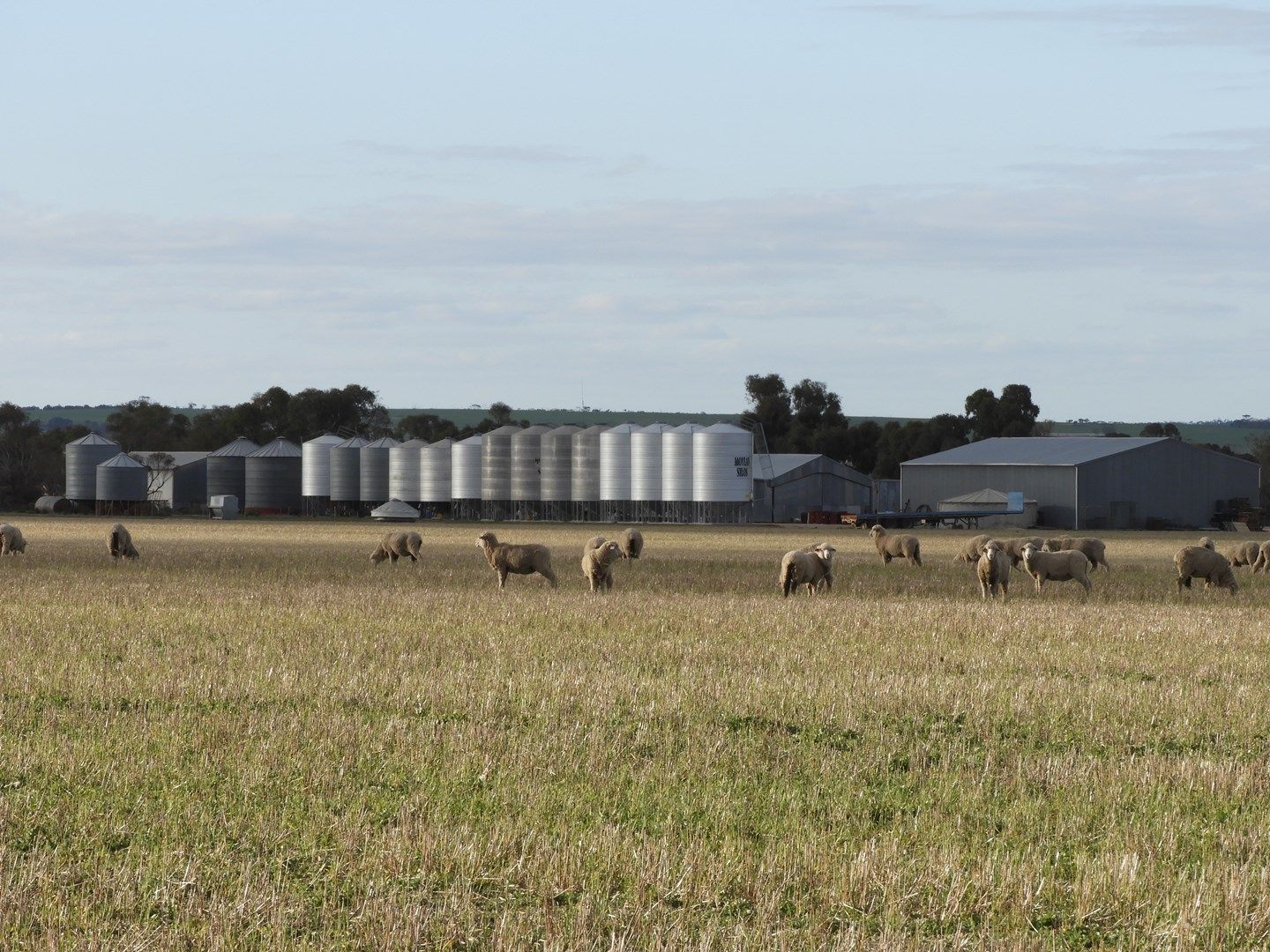 Cusmano's & Pearce's Farms, Hyden WA 6359, Image 0