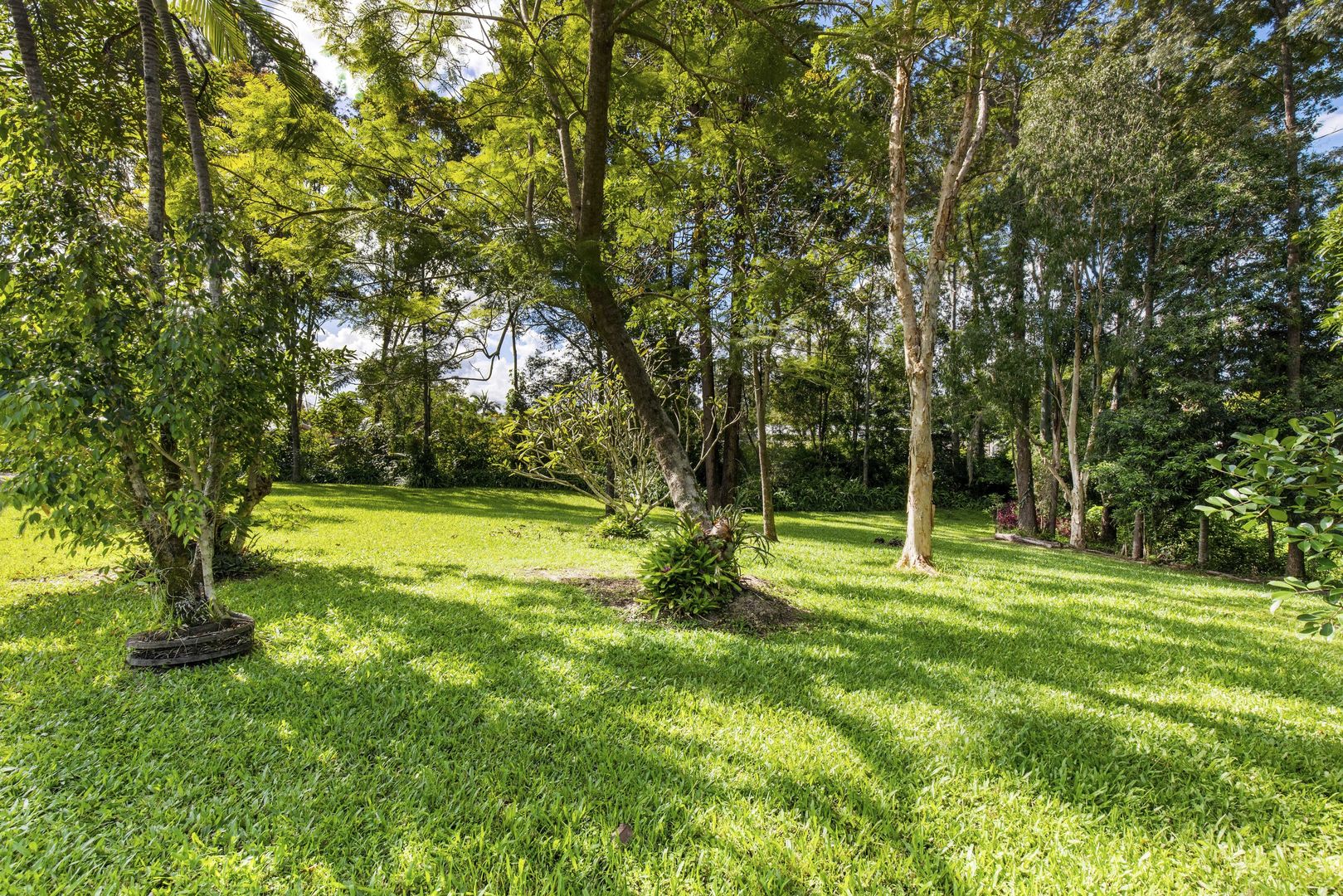 44 Dorson Drive, Mooloolah Valley QLD 4553, Image 1