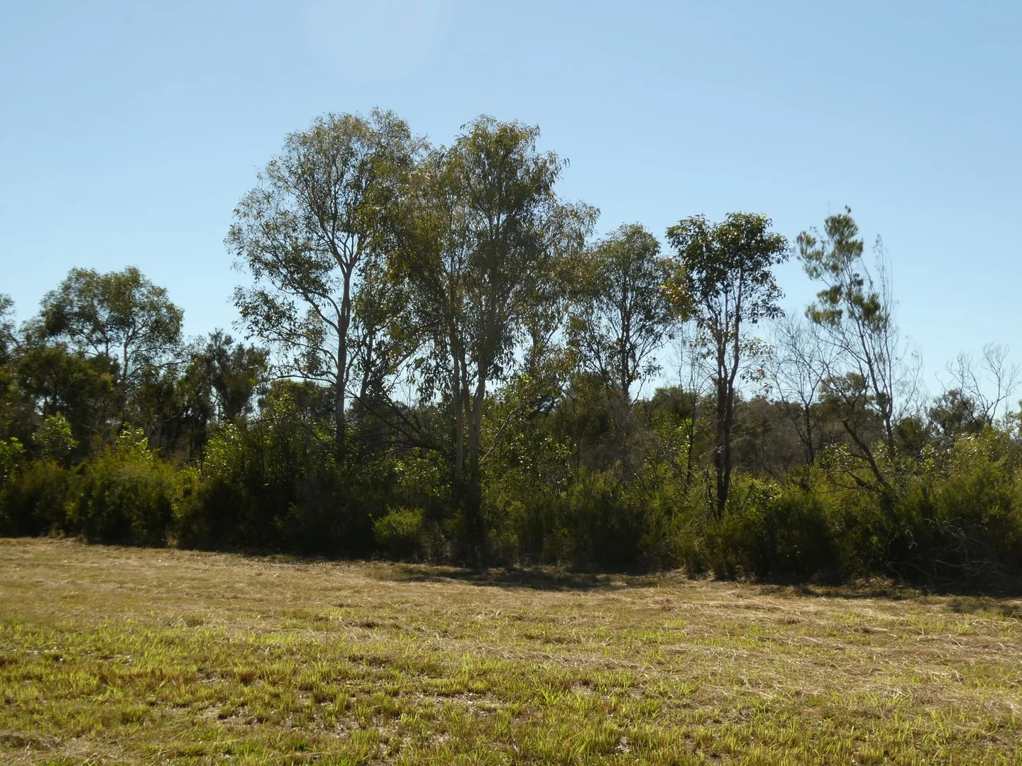 Image 12