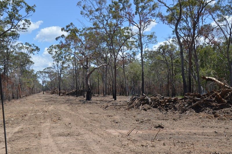 Lot 1/0 Old Bruce Hwy, Burrum Town QLD 4659, Image 2