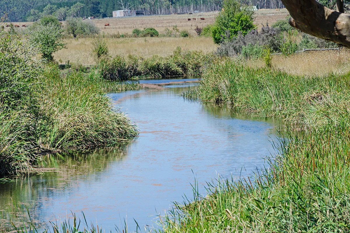 Additional image 10 of 1750 Condah Hotspur Upper Road, Hotspur VIC 3303