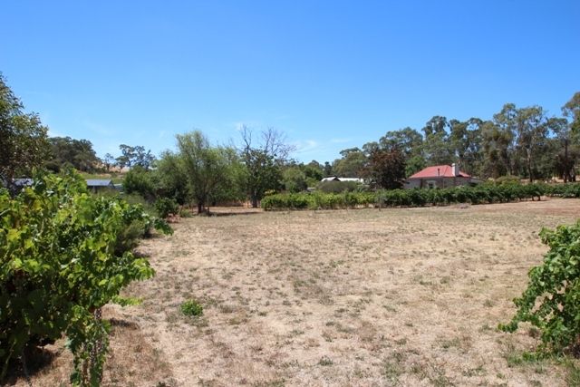 Lot 3 Horrocks Road, Penwortham SA 5453, Image 1