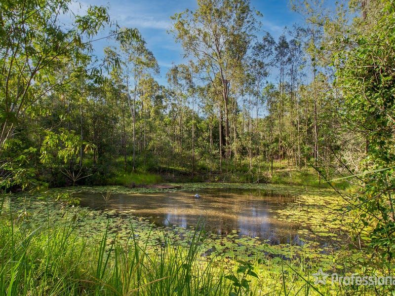 789 Teviot Road, North Maclean QLD 4280, Image 1