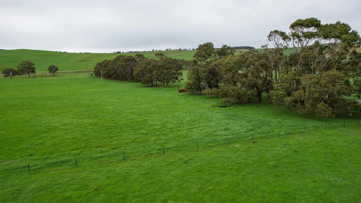 Image 13