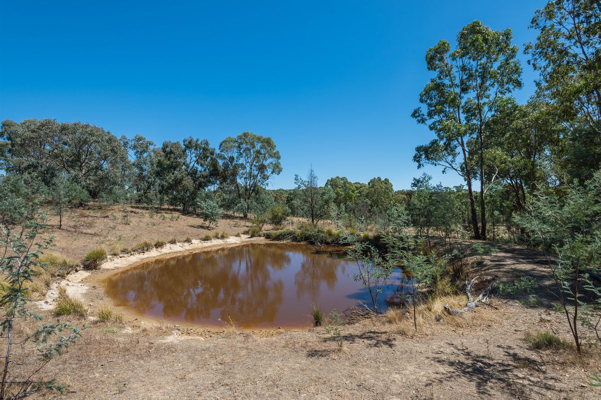 Lot 1, 403 Yandoit-Werona Road, Franklinford VIC 3461, Image 2