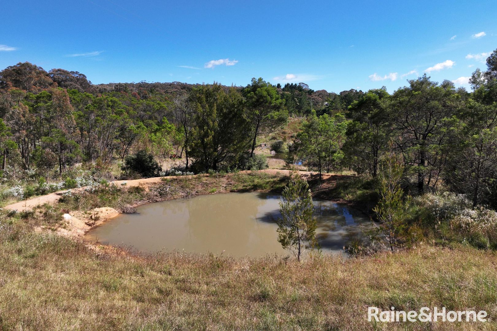 1603 Brayton Road, Big Hill NSW 2579 Domain