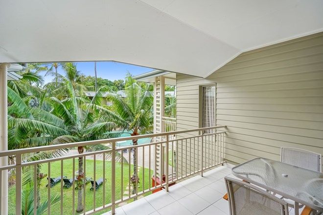 96 2 Bedroom Apartments For Sale In Palm Cove Qld 4879 Domain