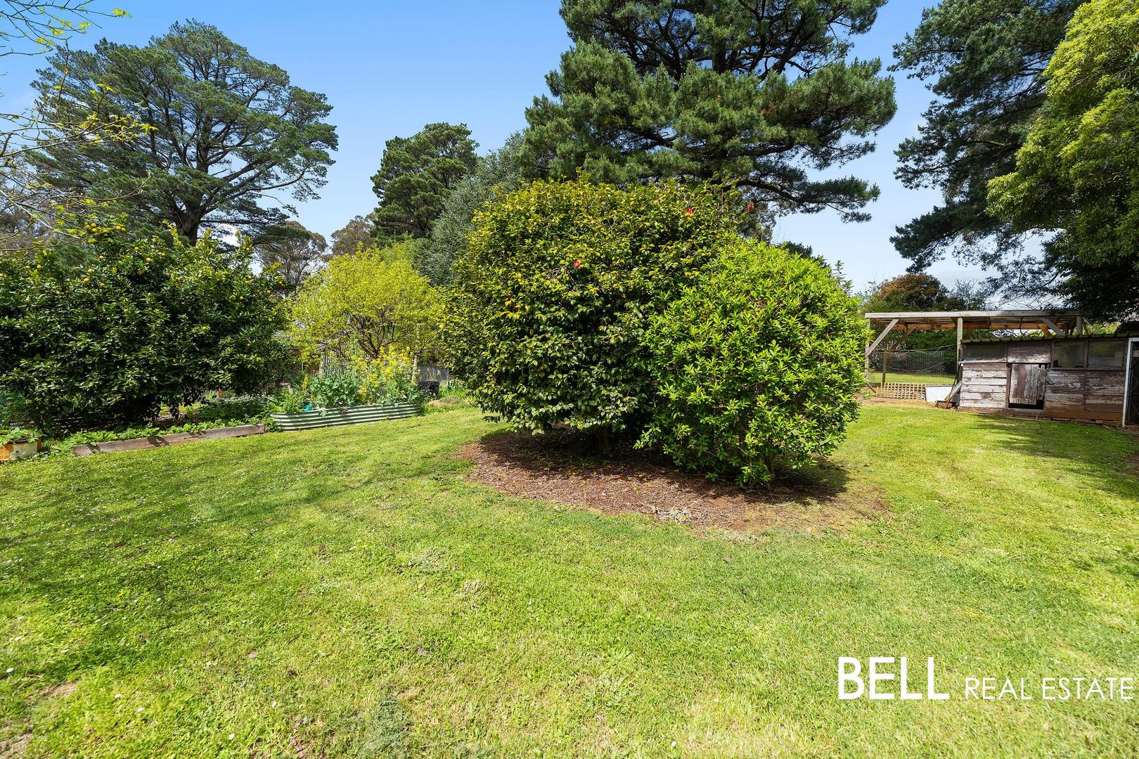 17 Station Road, Gembrook VIC 3783, Image 1