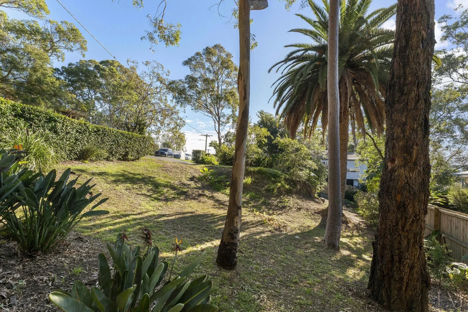 Image 8