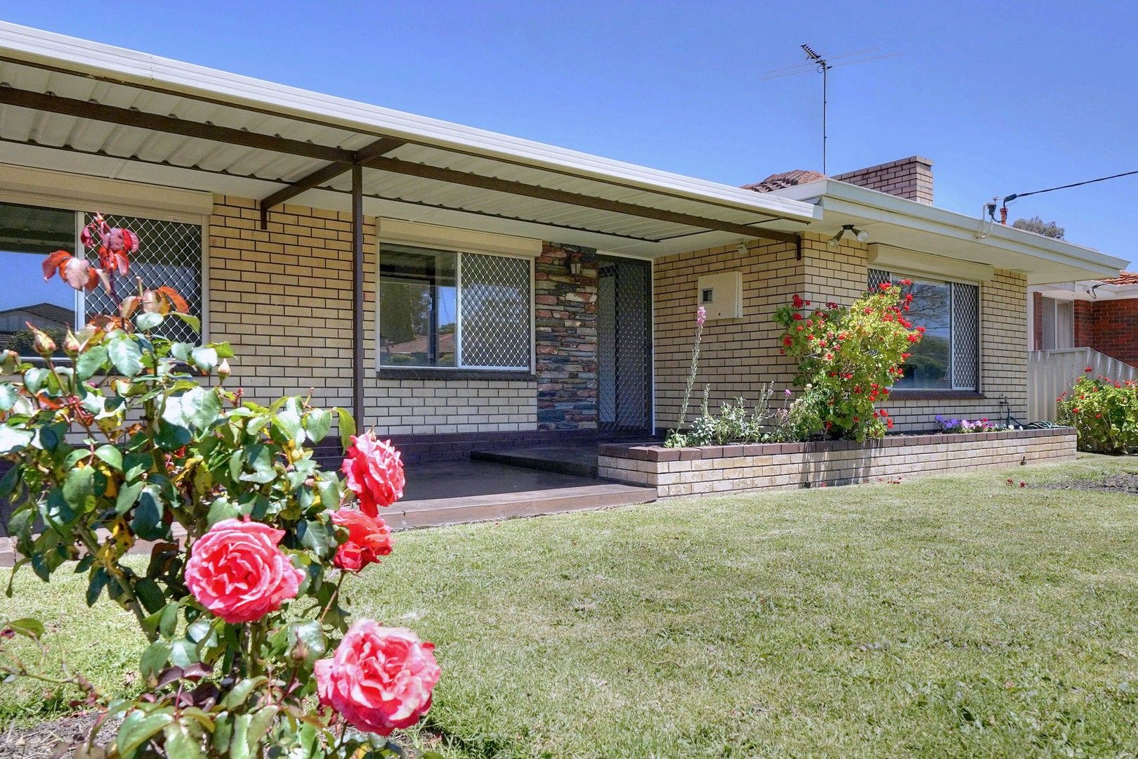 3 bedrooms House in 154 Belgravia Street BELMONT WA, 6104