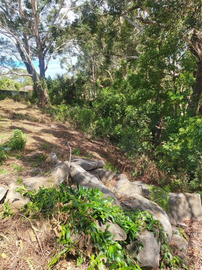 Image 10