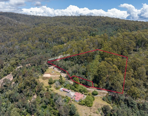 22 Cascade Dam Road, Derby TAS 7264