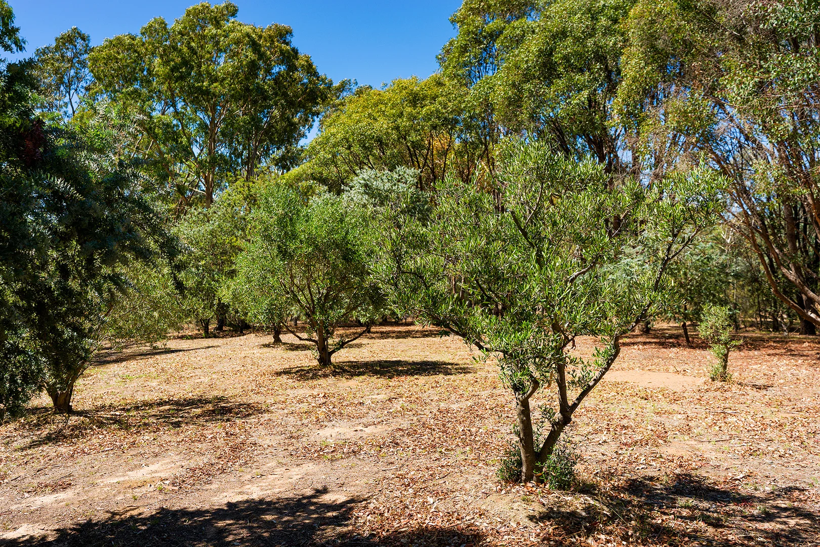 Additional image 35 of 132 Bells Reef Road, Maldon VIC 3463