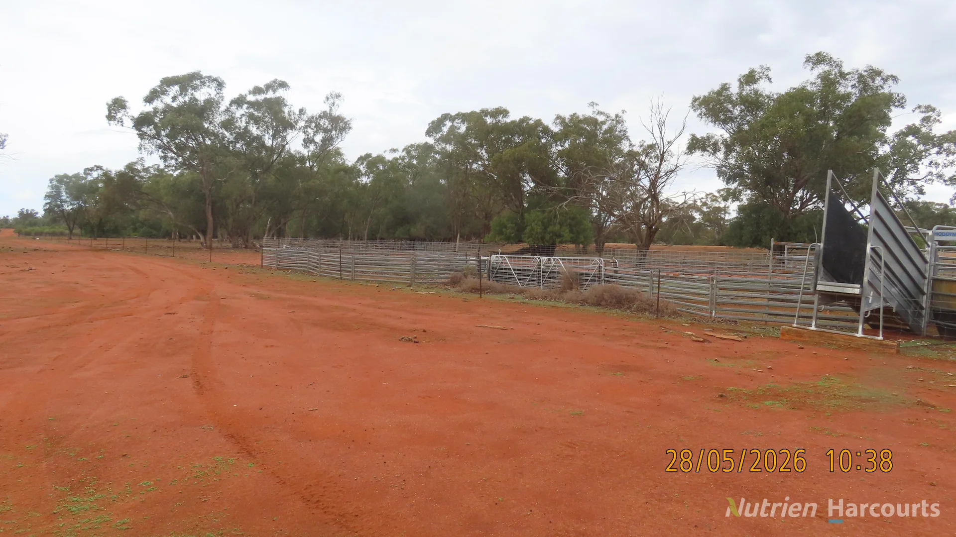 Image 12