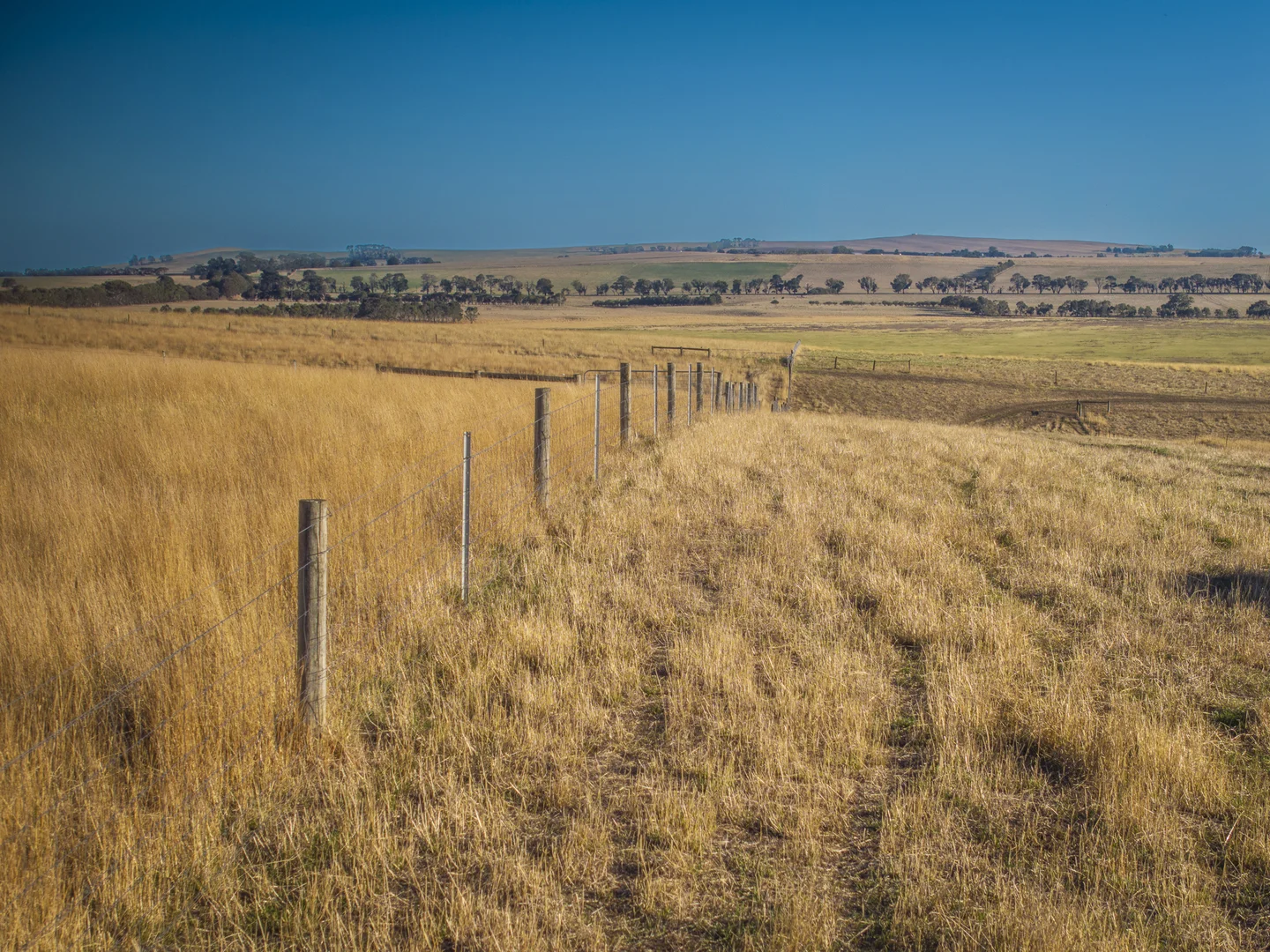 Additional image 25 of 1154 Stockyard Hill Road, Stockyard Hill VIC 3373