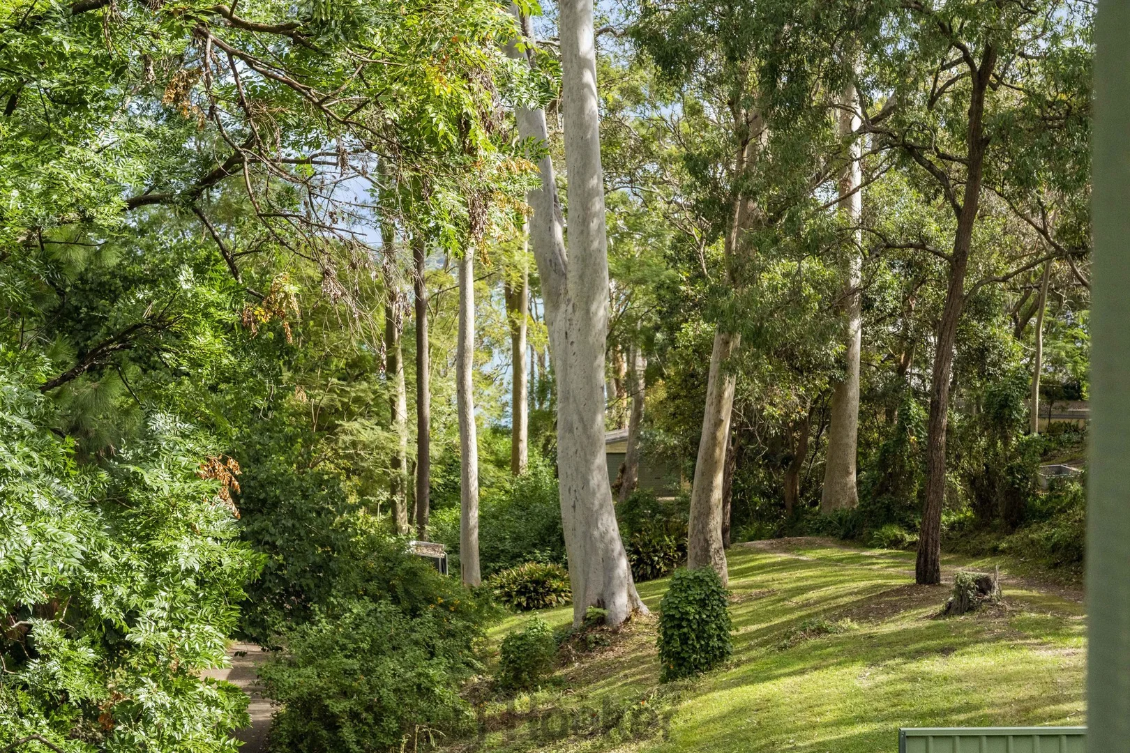 Image 21