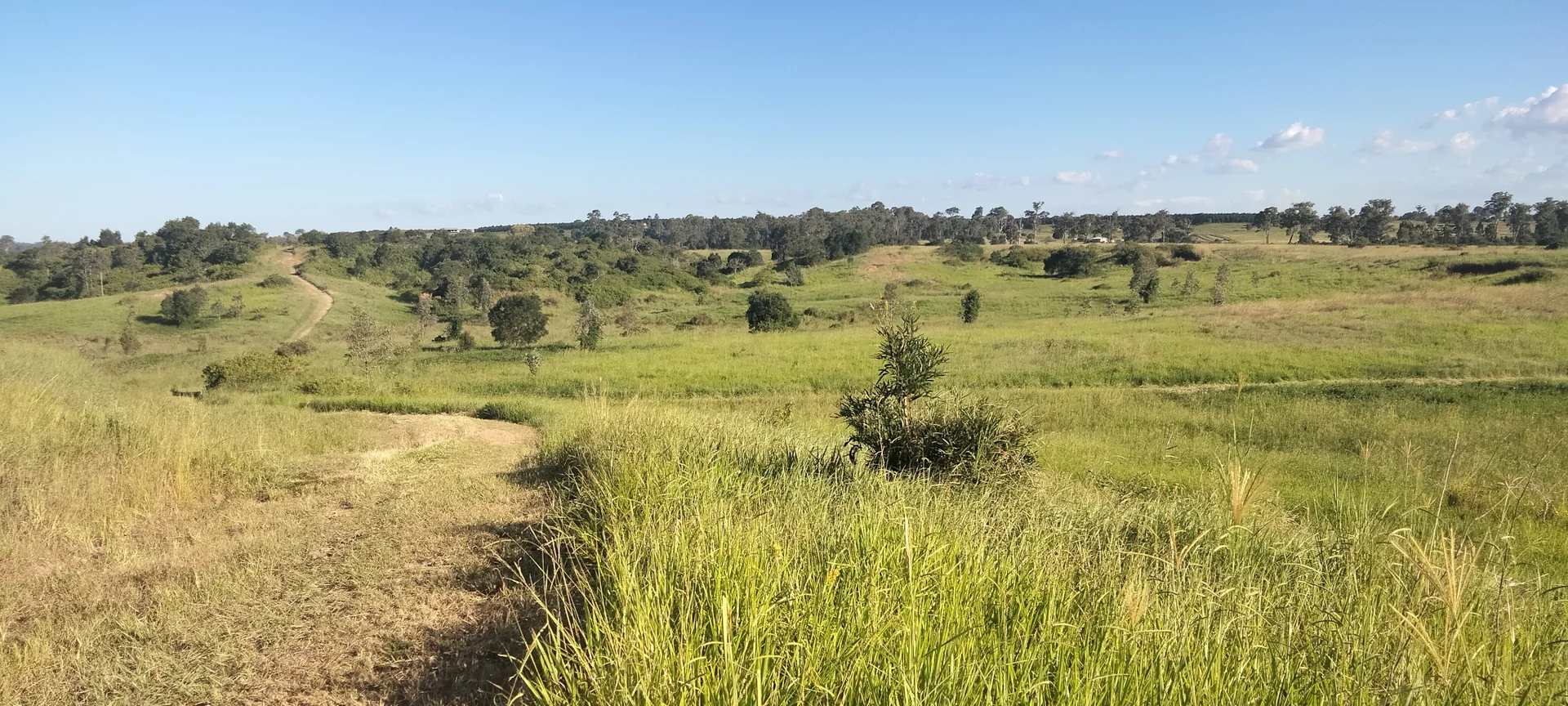 Additional image 28 of 808 Pine Creek Road, Givelda QLD 4670