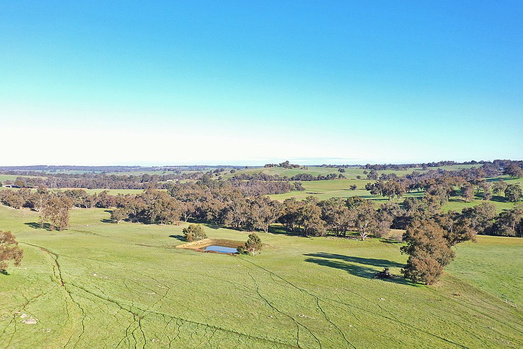 223 Boyup Brook-Kojonup Road, Boyup Brook WA 6244, Image 0