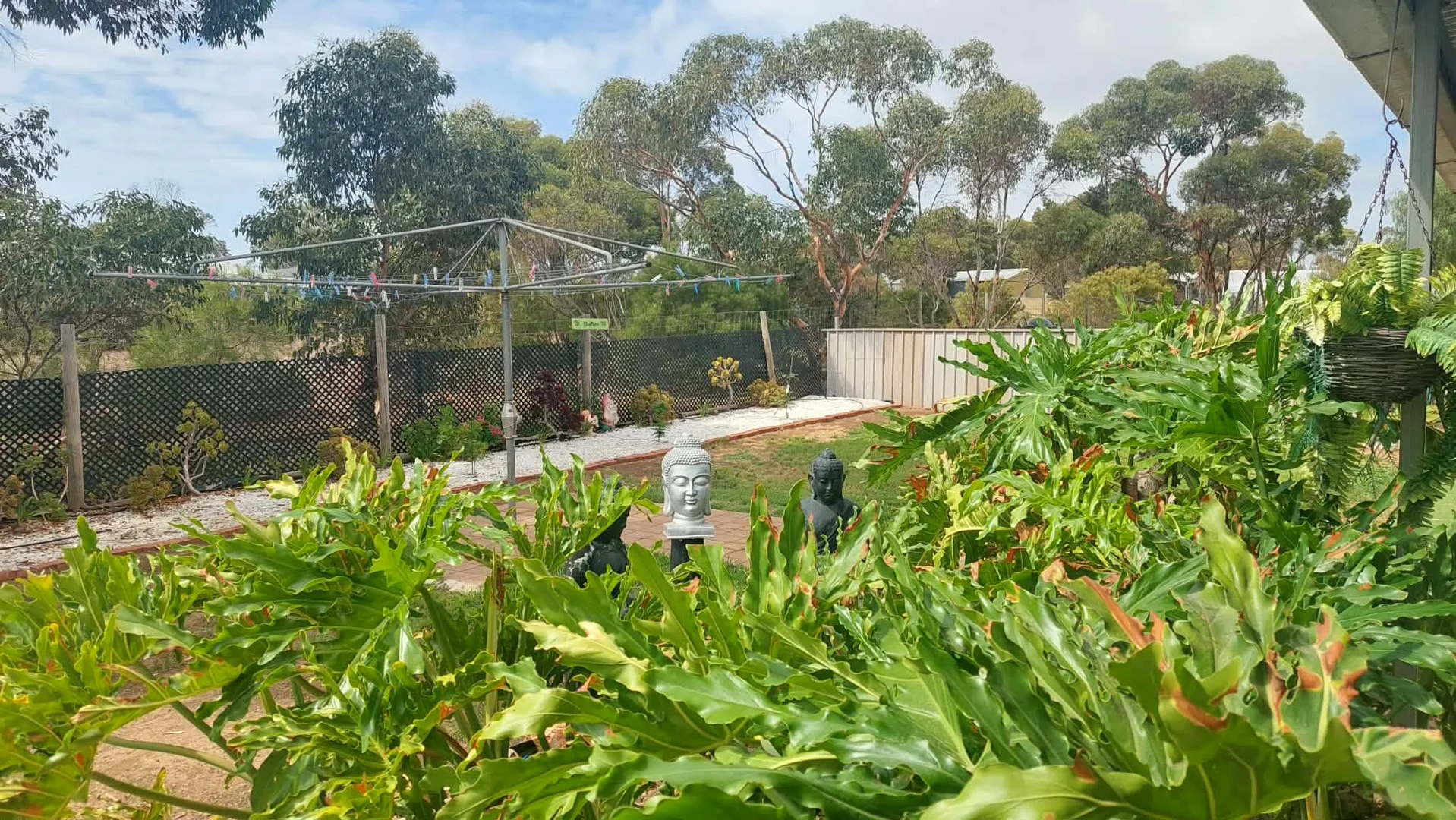 Additional image 20 of 39 George, Truro SA 5356