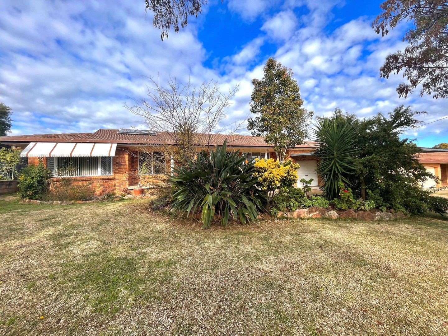 4 bedrooms House in 23 Palmer Cres GUNNEDAH NSW, 2380